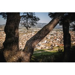 MERIDA EONE-FORTY 475 električni bicikl (MY24)