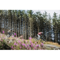 MERIDA eONE- EIGHTY 700 električni bicikl (MY26)