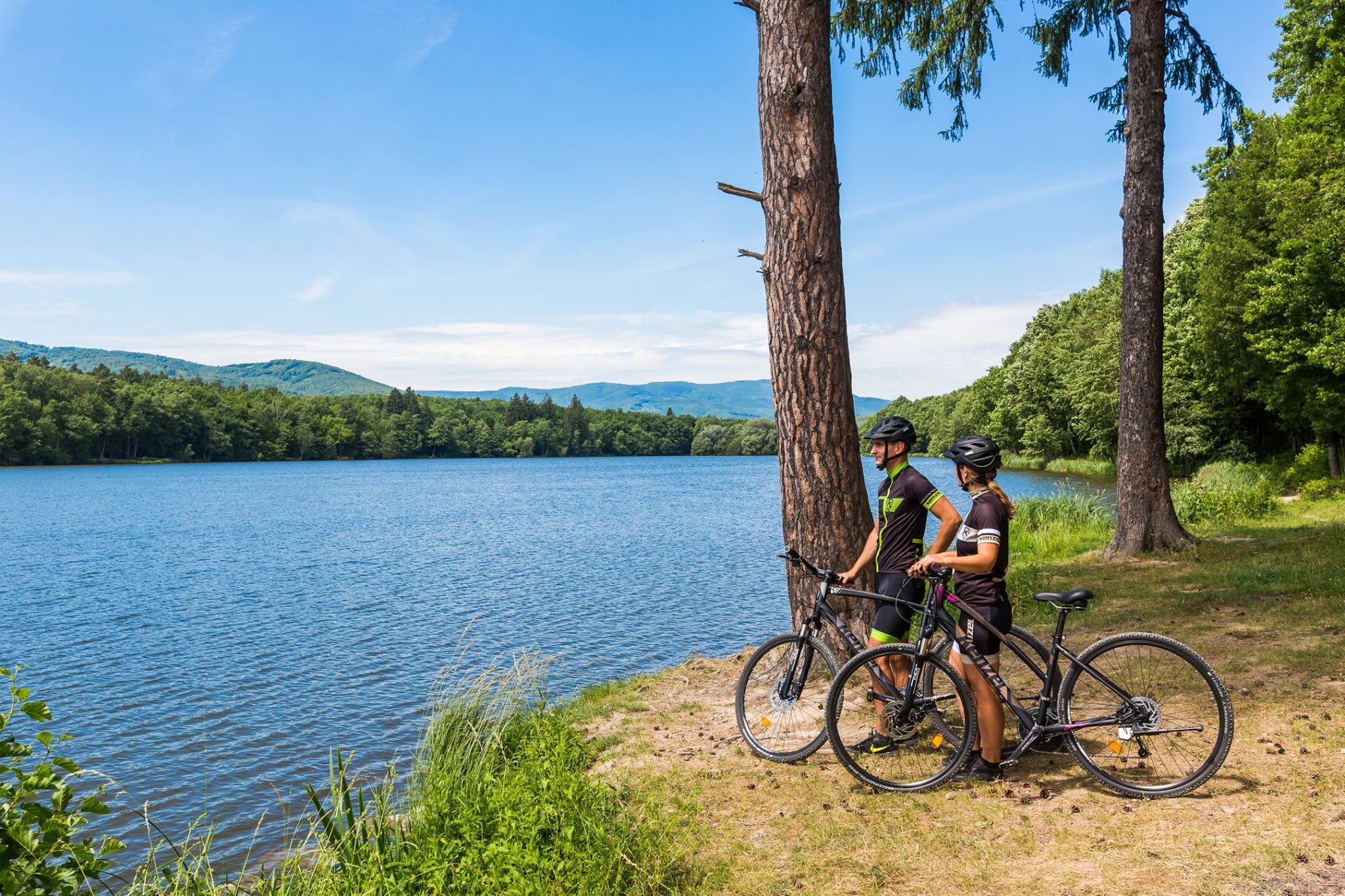 Matis Blog: Bicikli su totalno u trendu!