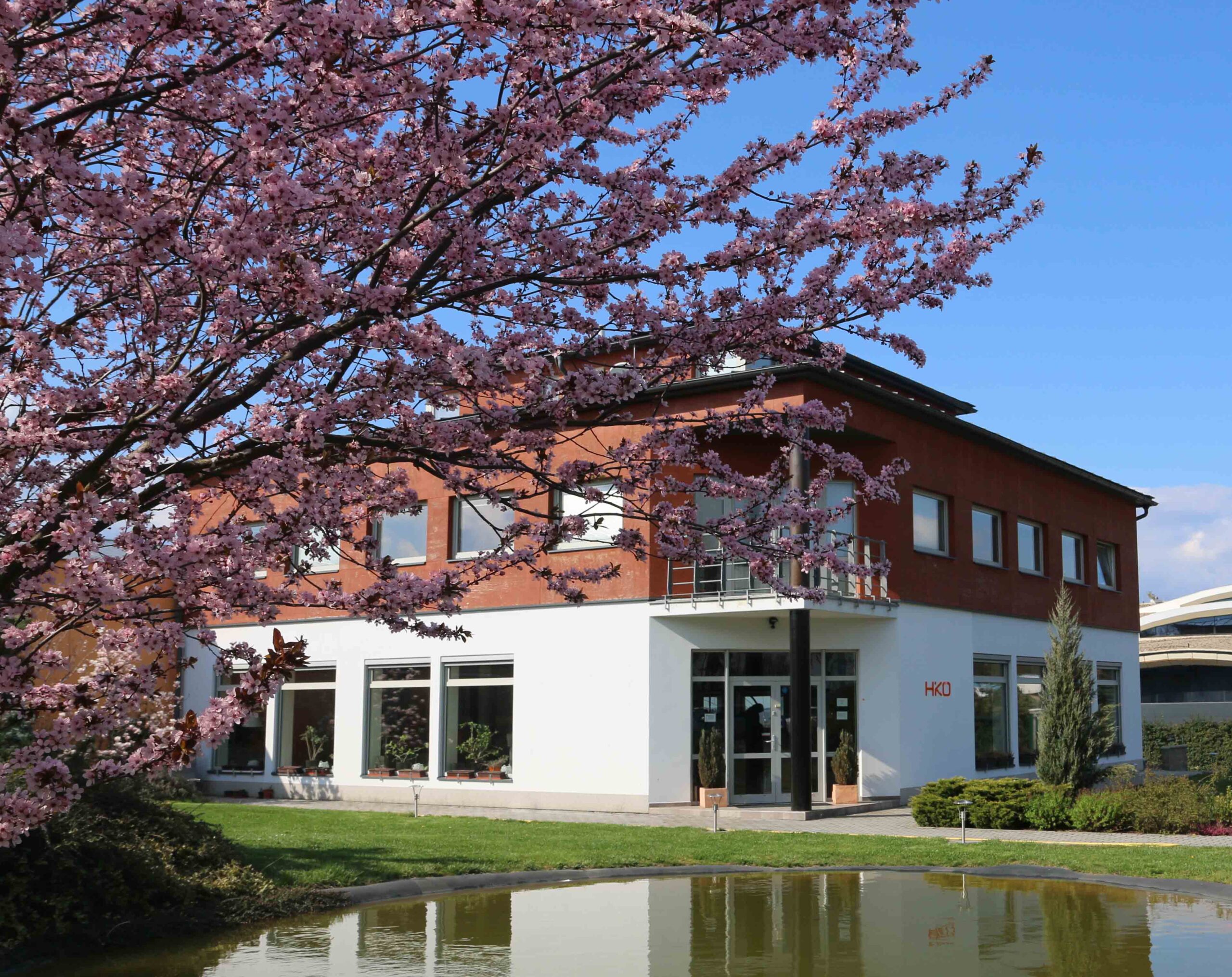 Matis Blog: HIKO - o nama