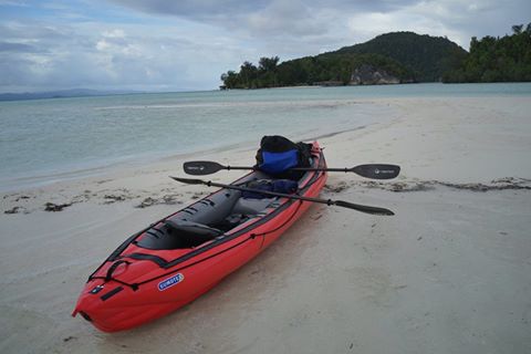 Matis Blog: TNP VESLA - NOVO U PONUDI!!!!